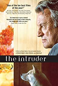 The Intruder (2004) M4ufree