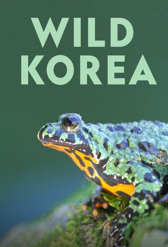 Wild Korea 2022 StreamM4u M4ufree
