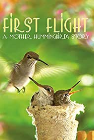 First Flight A Mother Hummingbirds Story (2009) M4ufree