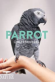 Parrot Confidential (2013) M4ufree