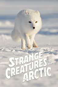 Strange Creatures of the Arctic (2022) M4ufree
