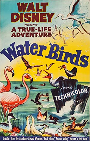 Water Birds (1952) M4ufree