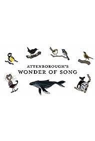 Attenboroughs Wonder of Song (2022) M4ufree