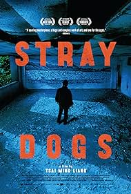 Stray Dogs (2013) M4ufree
