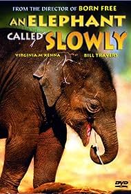 An Elephant Called Slowly (1970) M4ufree