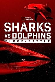 Sharks vs Dolphins Blood Battle (2020) M4ufree