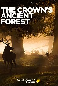 The Crowns Ancient Forest (2021) M4ufree