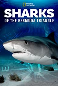 Sharks of the Bermuda Triangle (2020) M4ufree