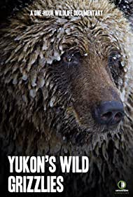 Yukons Wild Grizzlies (2021) M4ufree