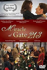 Miracle at Gate 213 (2013) M4ufree