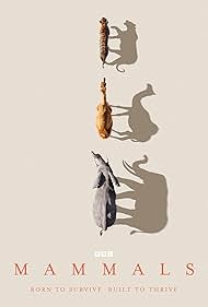 Mammals (2024) StreamM4u M4ufree