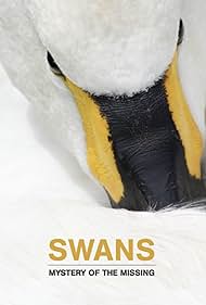 Swans Mystery of the Missing (2019) M4ufree