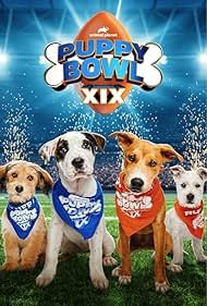Puppy Bowl XIX (2023) M4ufree