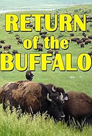 The Return of the Buffalo Restoring the Great American Prairie (2008) M4ufree
