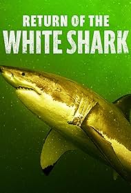 Return of the White Shark (2023) M4ufree