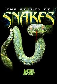 Beauty of Snakes (2003) M4ufree