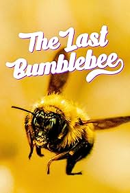 The Last Bumblebee (2024) M4ufree