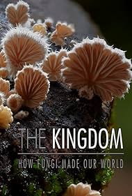The Kingdom How Fungi Made Our World (2018) M4ufree