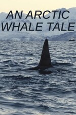 An Arctic Whale Tale (2022) M4ufree