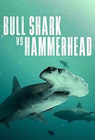 Bull Shark Vs Hammerhead (2023) M4ufree