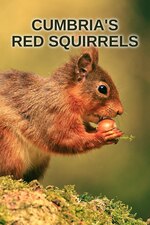 Cumbrias Red Squirrels (2024) M4ufree