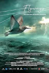 Flyways the untold journey of migratory shorebirds (2023) M4ufree