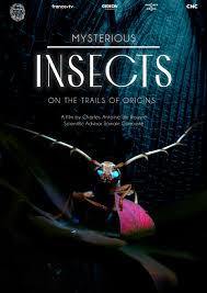 Mysterious Origins of Insects (2024) M4ufree