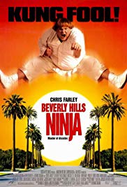 Beverly Hills Ninja (1997) M4ufree