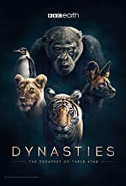 Dynasties (2018 ) StreamM4u M4ufree