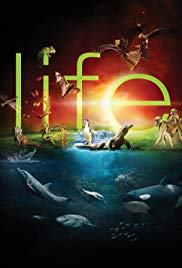 Life (2009) StreamM4u M4ufree