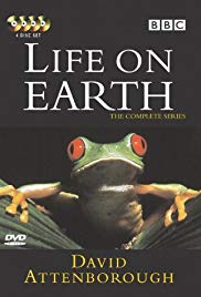 Life on Earth (1979 ) StreamM4u M4ufree