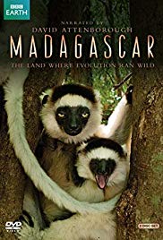 Madagascar (2011 ) StreamM4u M4ufree
