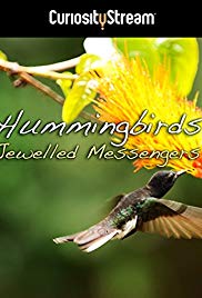 Hummingbirds Jewelled Messengers (2012) M4ufree