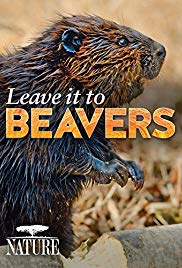 Leave It to Beavers (2014) M4ufree