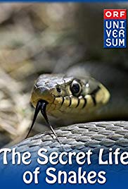 The Secret Life of Snakes (2016) M4ufree