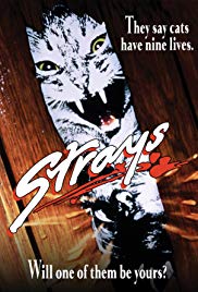 Strays (1991) M4ufree