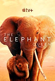 The Elephant Queen (2019) M4ufree