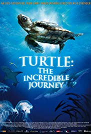 Turtle: The Incredible Journey (2009) M4ufree