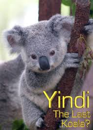 Yindi the Last Koala (1996) M4ufree